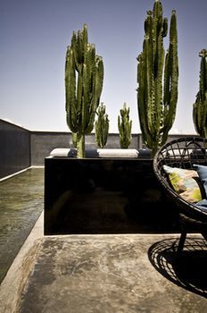 First Riad